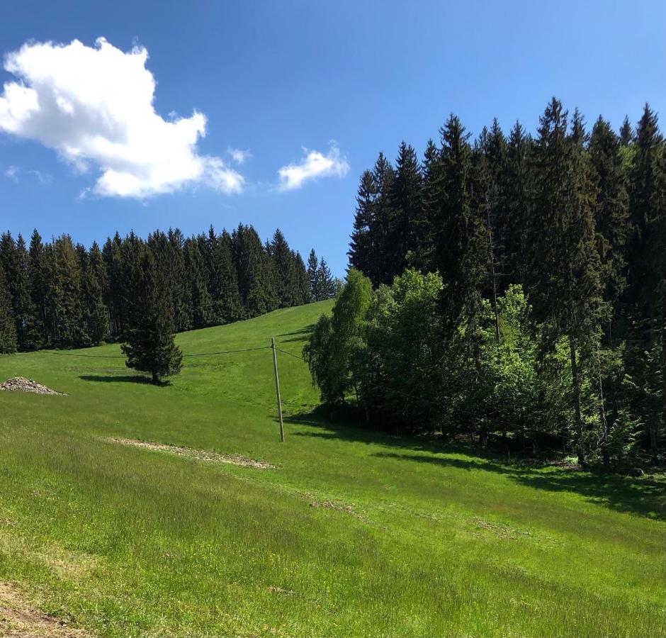 Blick Hotell Lądek-Zdrój Eksteriør bilde